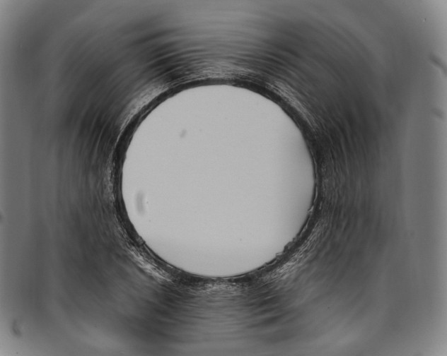 X0000096961026200802291116