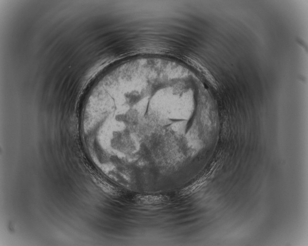 X0000096961027200802291116