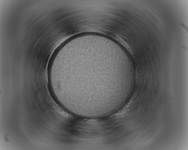 X0000096961028200802291116