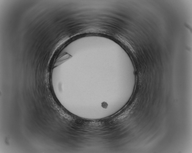 X0000096961029200802291116