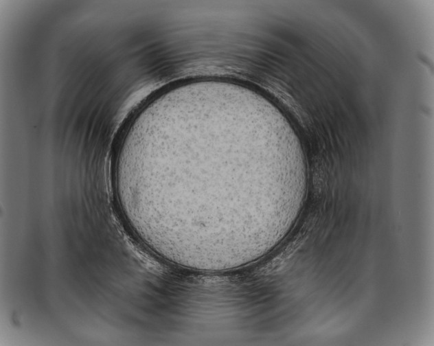 X0000096961030200802291116