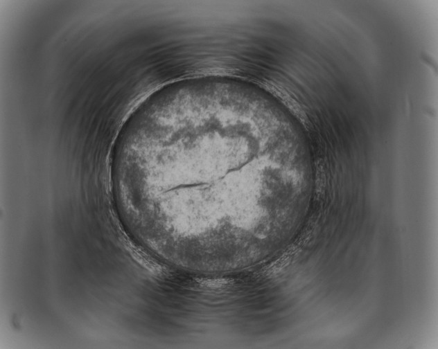 X0000096961031200802291116