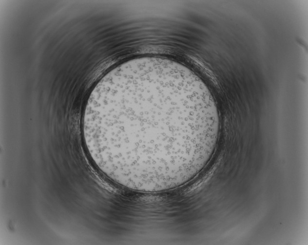 X0000096961033200802291116