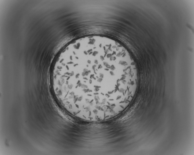 X0000096961034200802291116