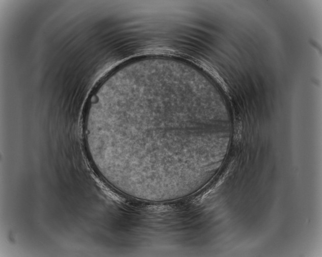 X0000096961037200802291116