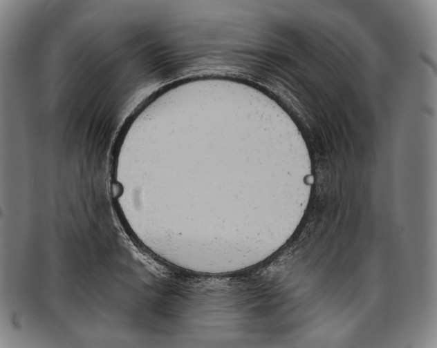 X0000096961038200802291116