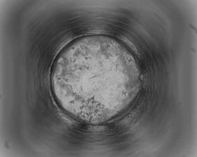 X0000096961039200802291116