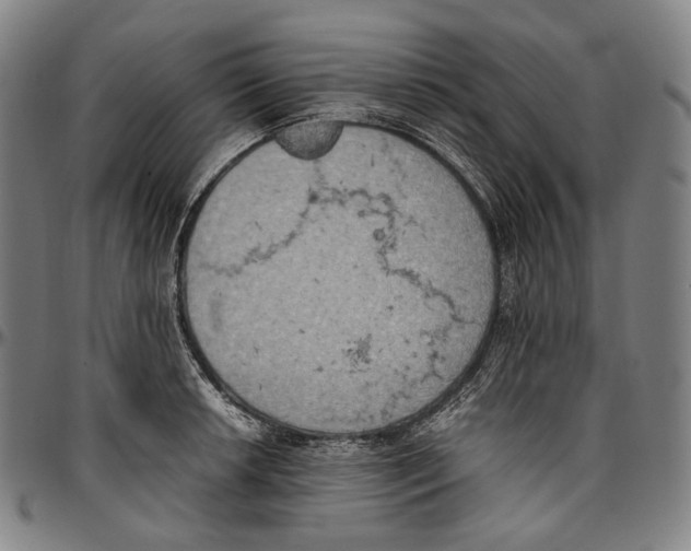 X0000096961042200802291116