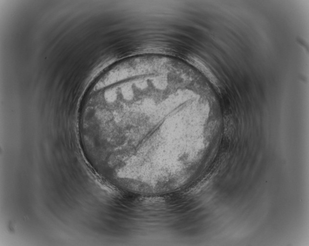 X0000096961043200802291116