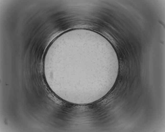 X0000096961044200802291116