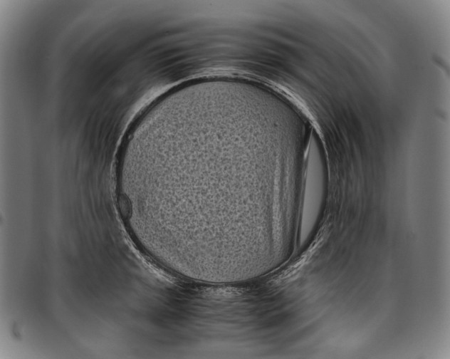 X0000096961045200802291116