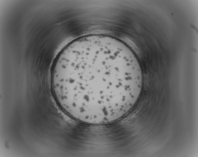 X0000096961046200802291116