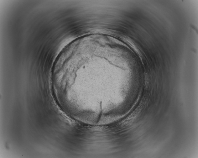 X0000096961048200802291116