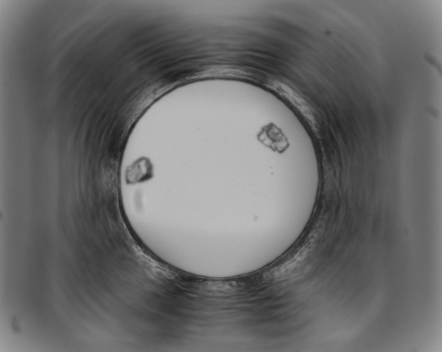 X0000096961049200802291116