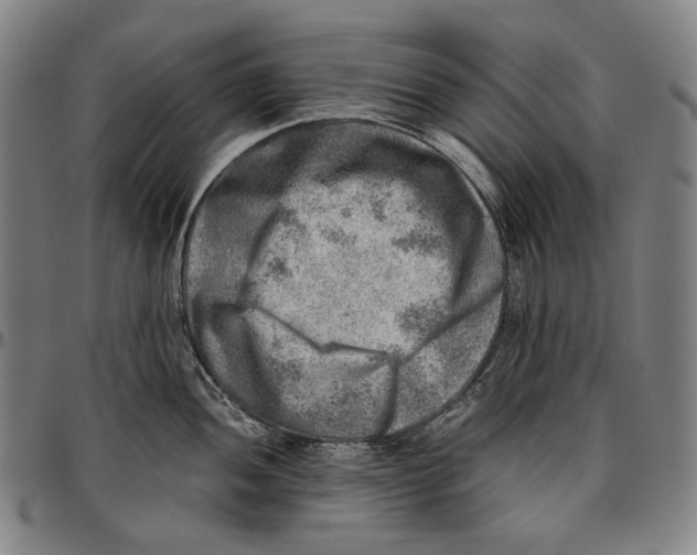 X0000096961052200802291116