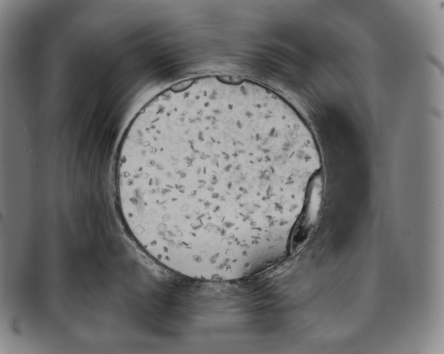 X0000096961056200802291116