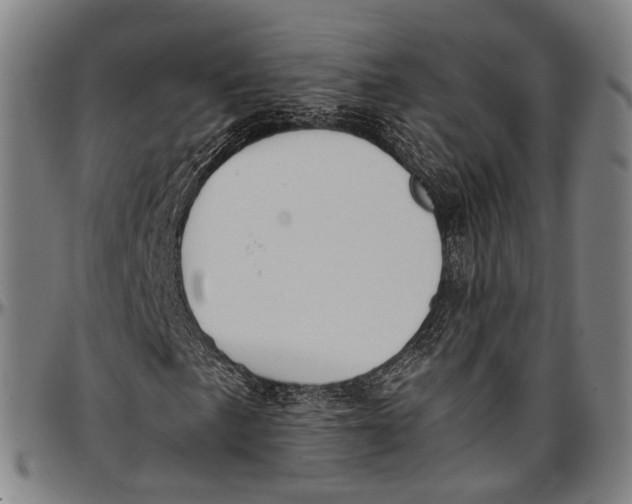 X0000096961057200802291116