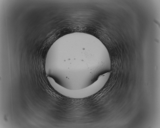 X0000096961058200802291116