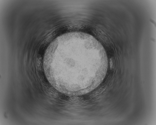 X0000096961059200802291116