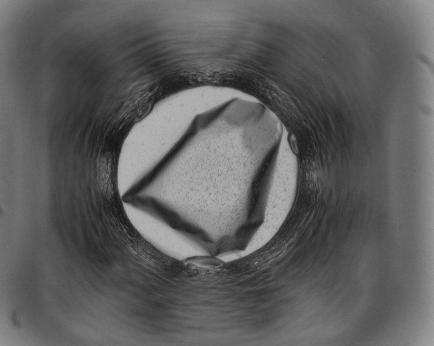 X0000096961060200802291116