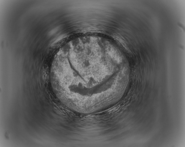 X0000096961063200802291115