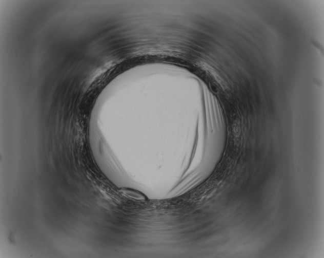 X0000096961064200802291115