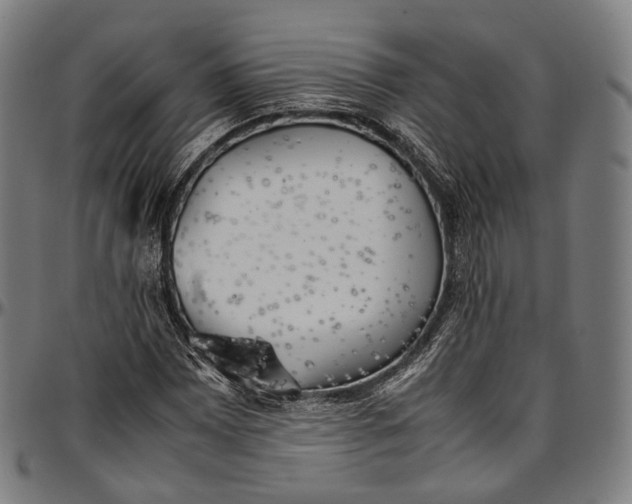 X0000096961065200802291115