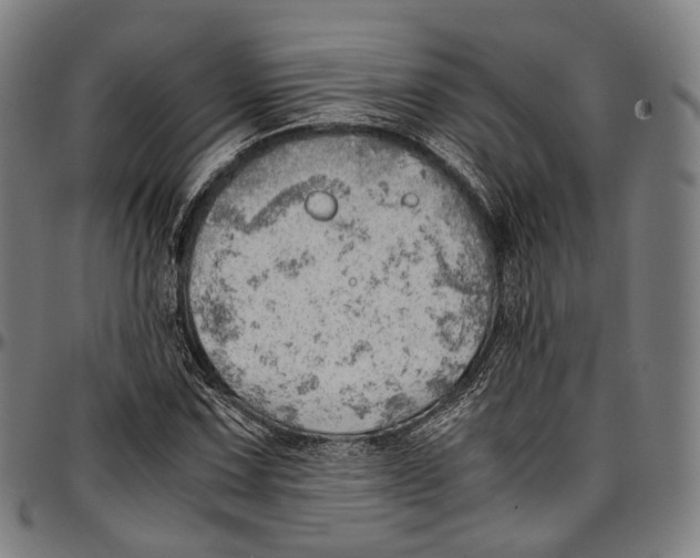 X0000096961067200802291115