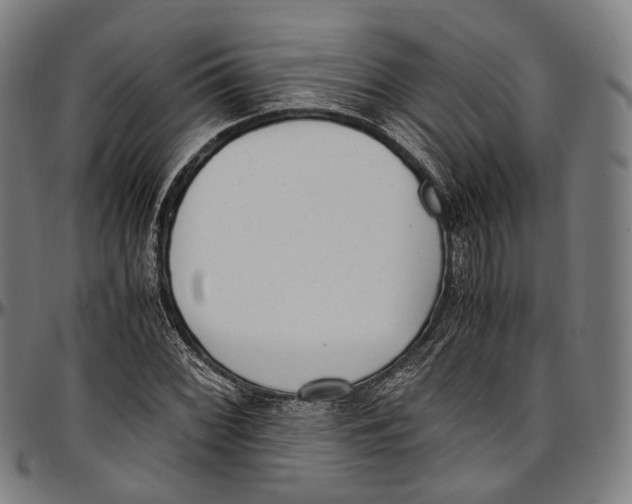 X0000096961068200802291115