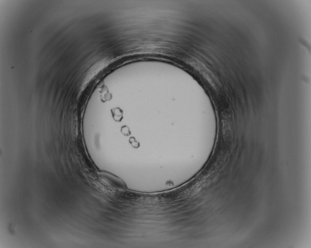 X0000096961069200802291115