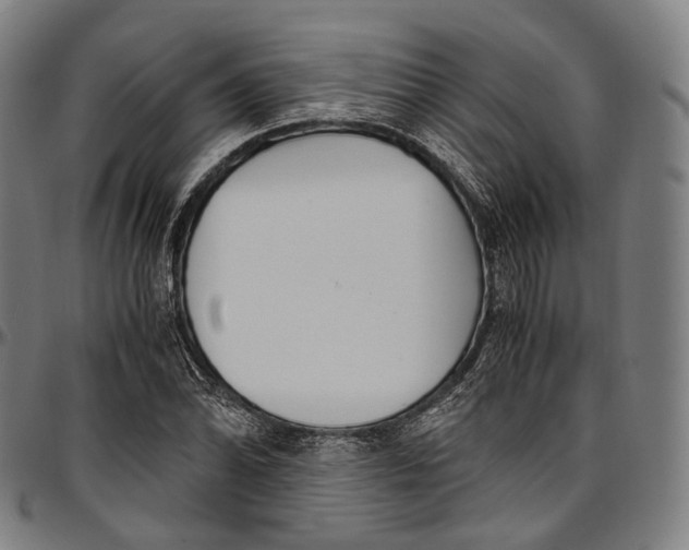 X0000096961070200802291115