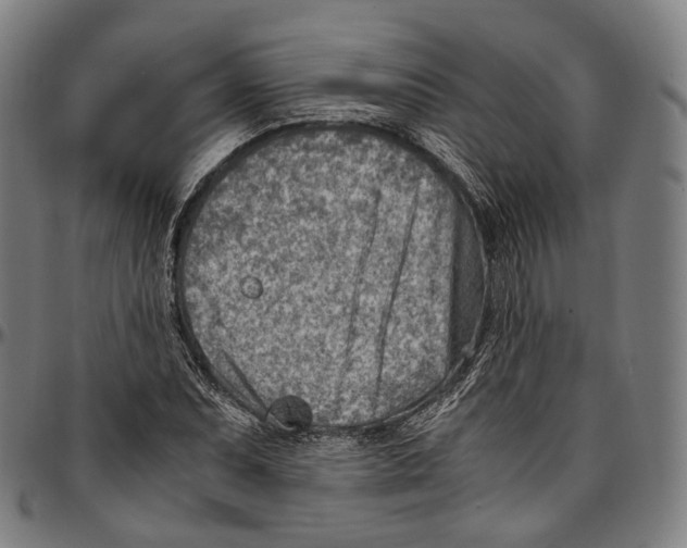 X0000096961071200802291115