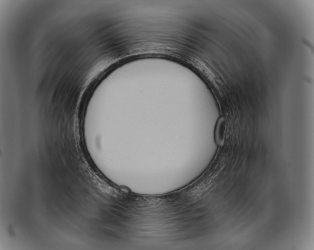 X0000096961072200802291115