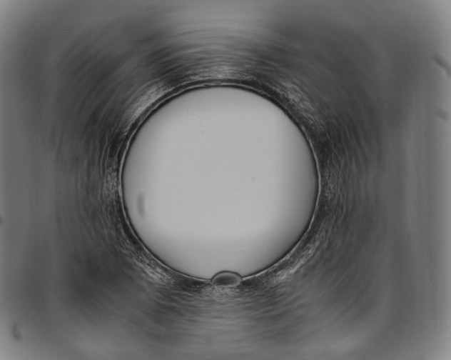 X0000096961073200802291115