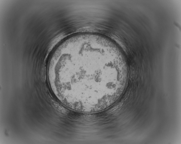 X0000096961075200802291115