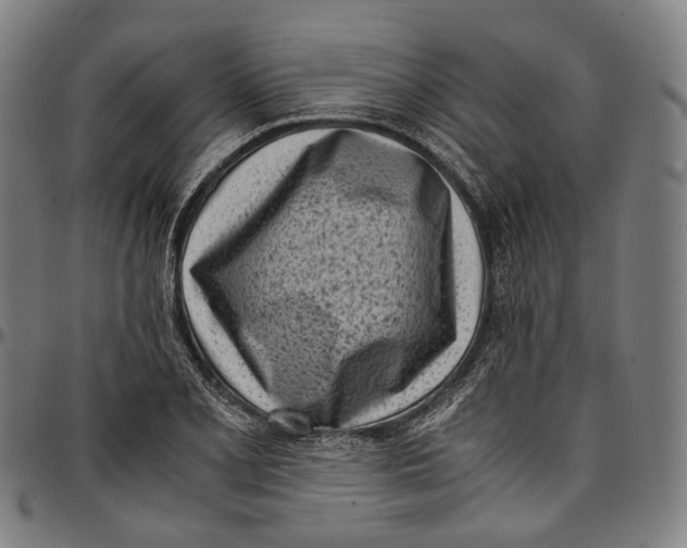 X0000096961077200802291115