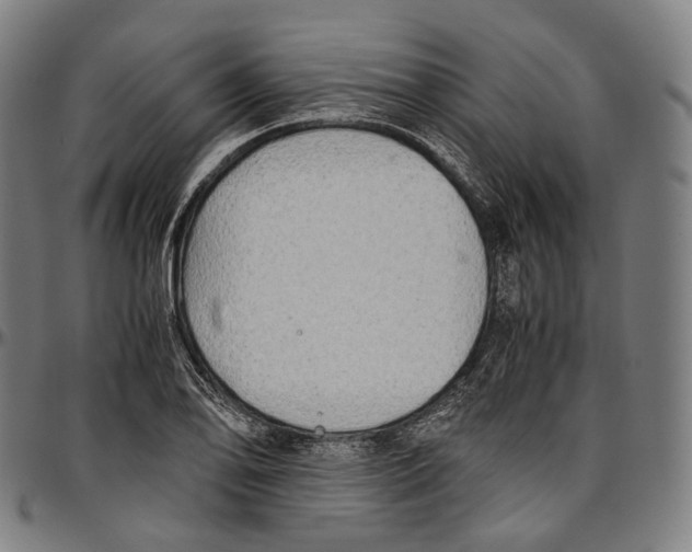 X0000096961078200802291115