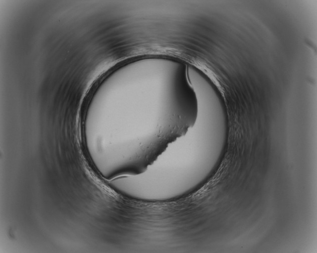 X0000096961080200802291115