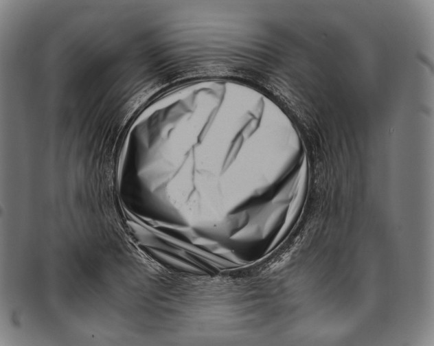 X0000096961081200802291115