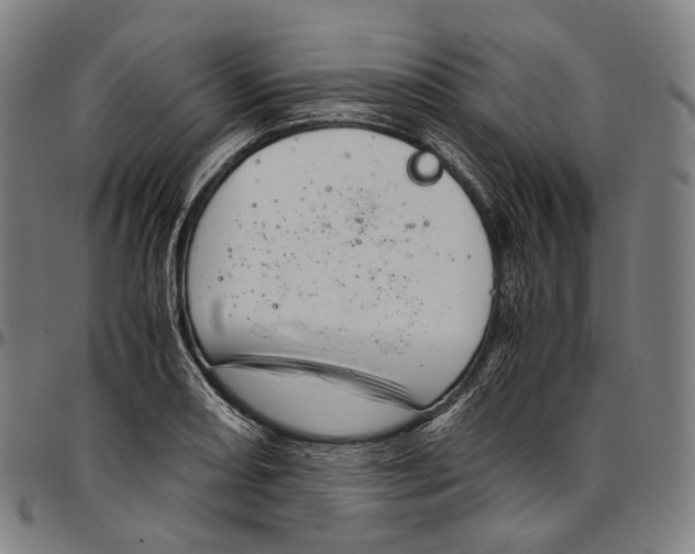 X0000096961082200802291115