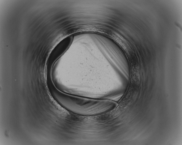 X0000096961084200802291115