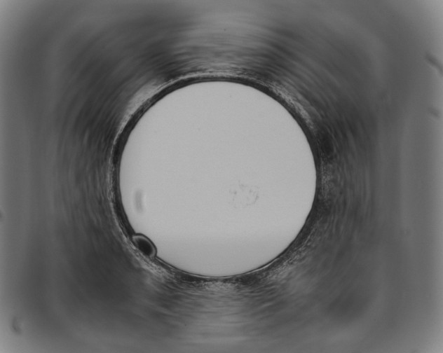 X0000096961085200802291115