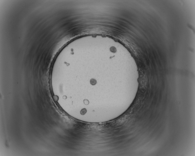 X0000096961086200802291115