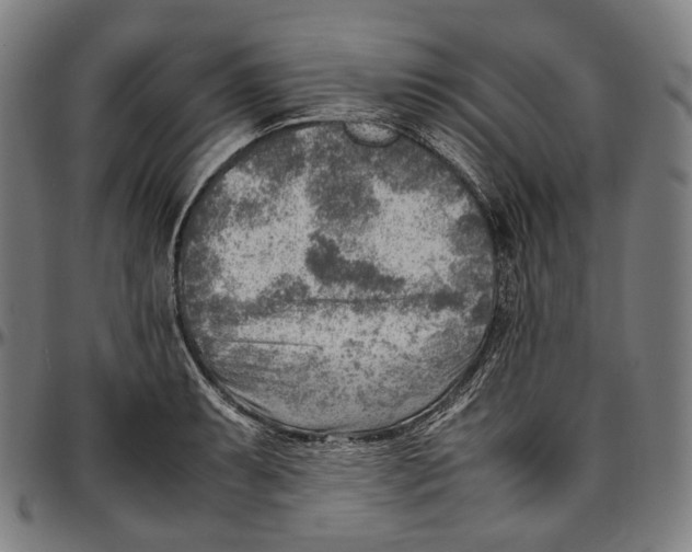 X0000096961087200802291115