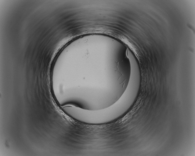 X0000096961088200802291115