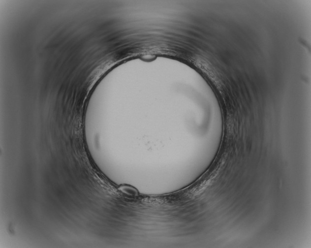 X0000096961089200802291115