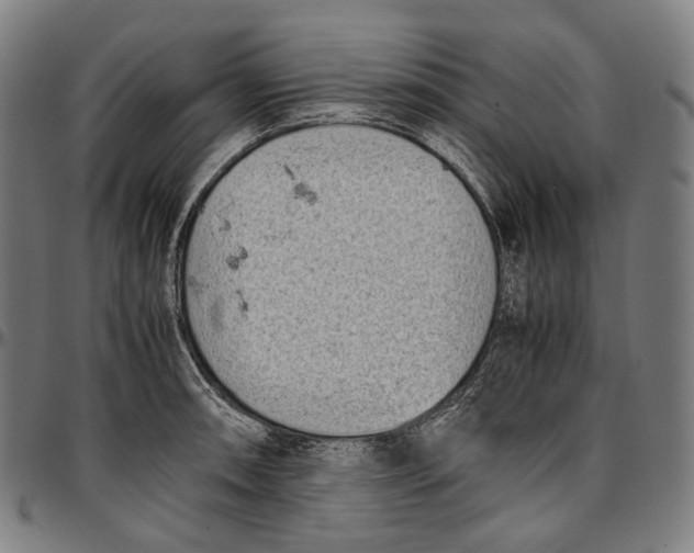 X0000096961090200802291115