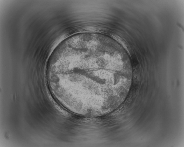 X0000096961091200802291115