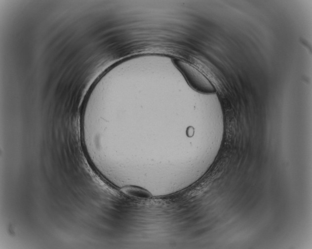 X0000096961092200802291115