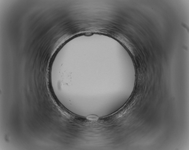 X0000096961093200802291115